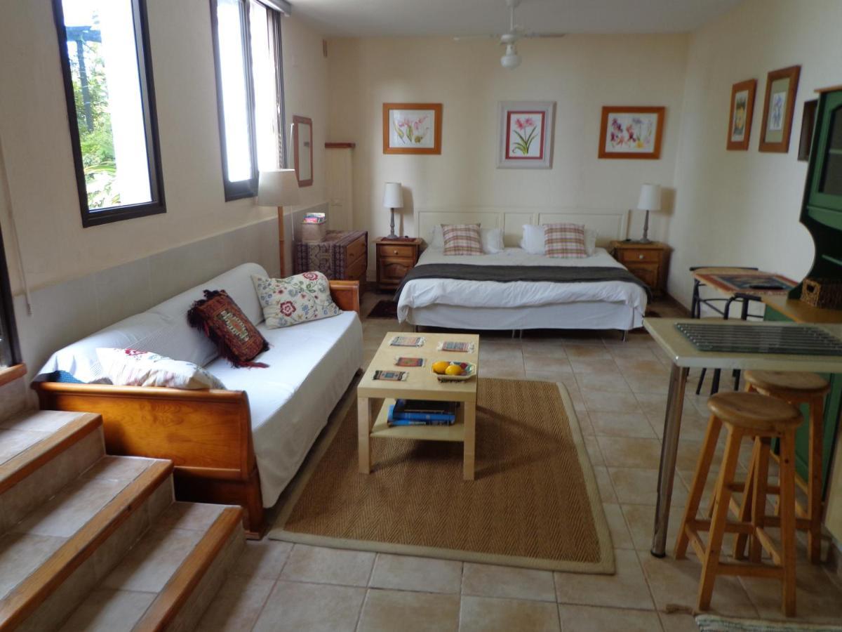 Casa Flora Garden Studio Sauzal Ngoại thất bức ảnh