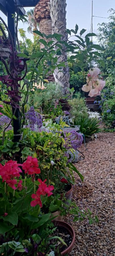 Casa Flora Garden Studio Sauzal Ngoại thất bức ảnh