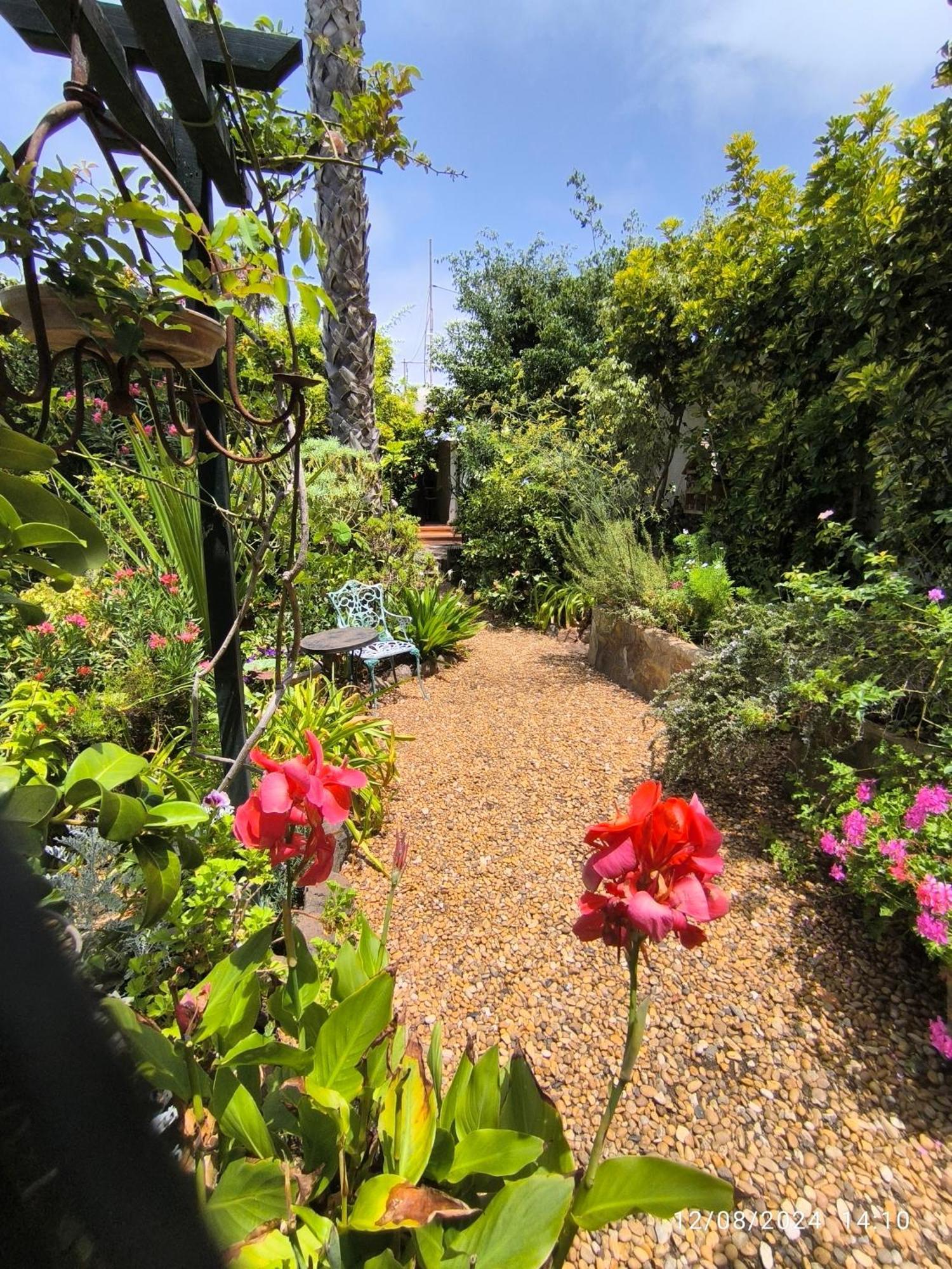 Casa Flora Garden Studio Sauzal Ngoại thất bức ảnh