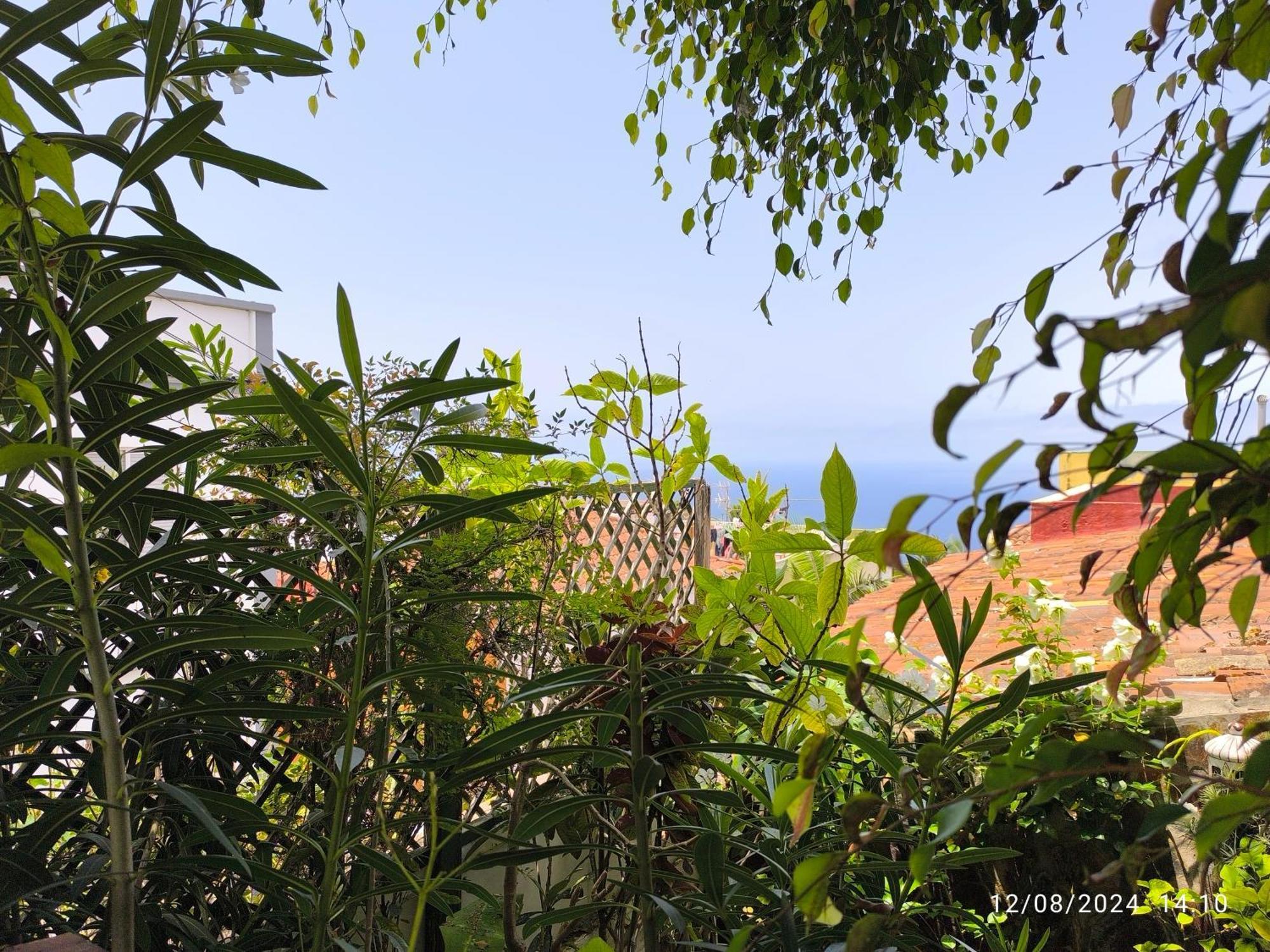 Casa Flora Garden Studio Sauzal Ngoại thất bức ảnh